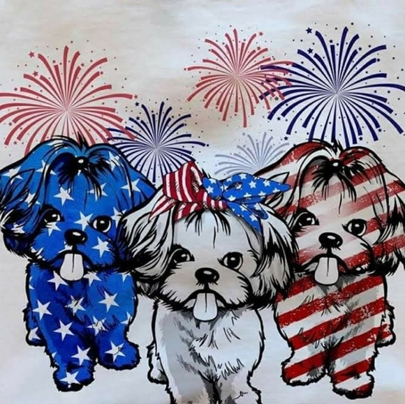 Sale - Picture 4 of 8